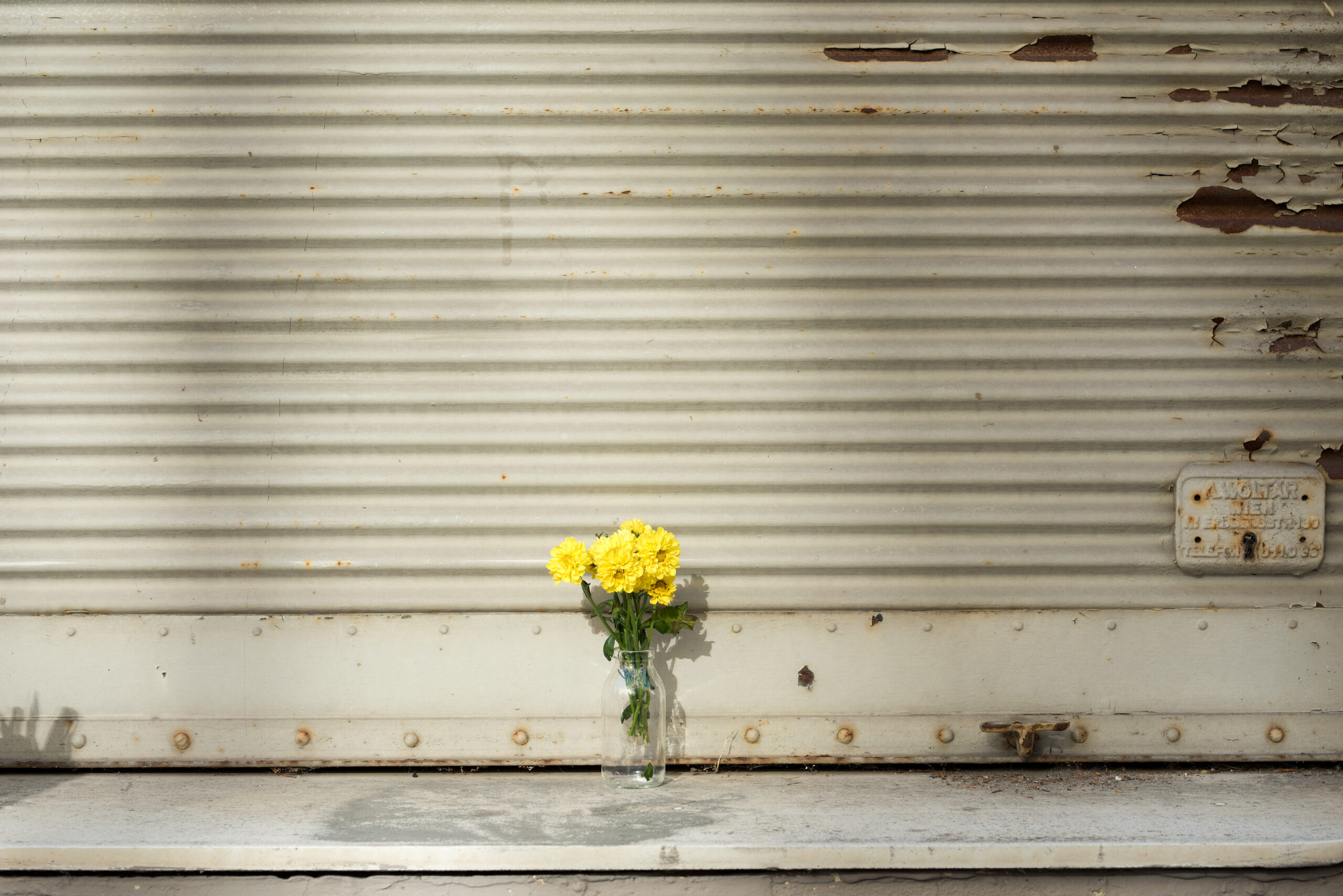 Vase mit gelber Blume steht einsam vor Garagentor